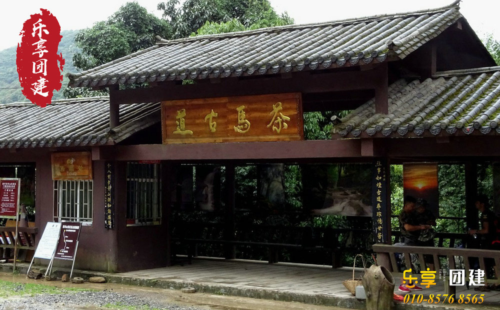 丽江茶马古道徒步团建-重温茶马文化