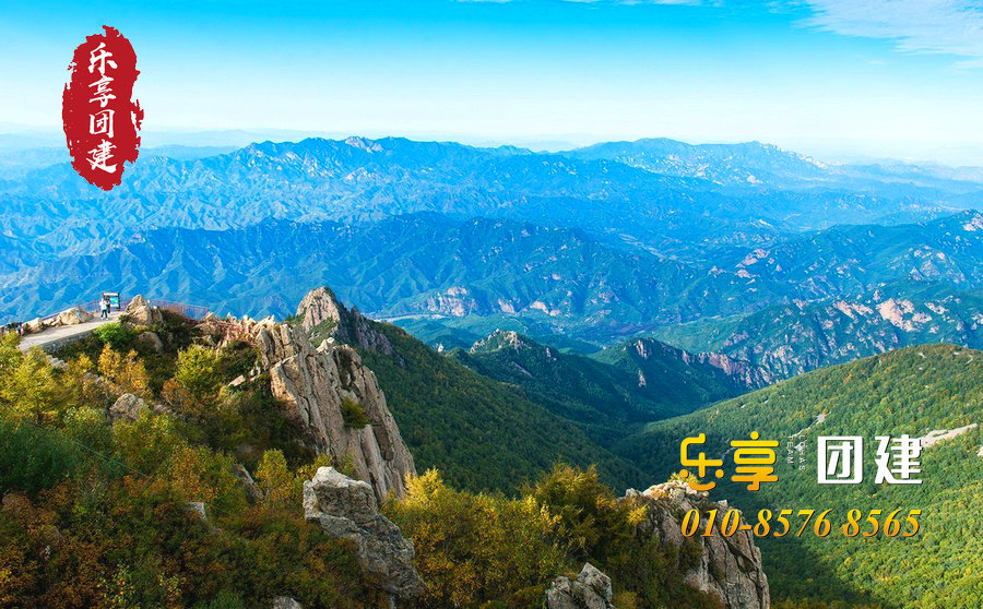 团队建设与管理的意义